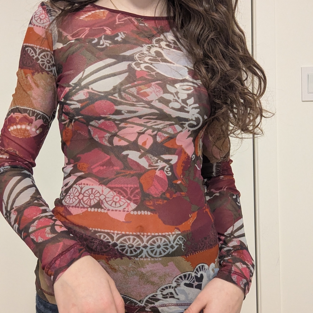 Express Y2K Mesh Long Sleeve Top